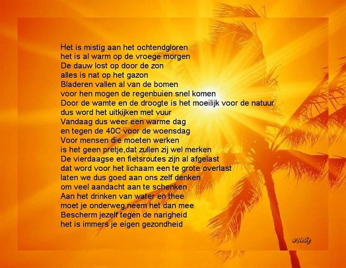 het is mistig