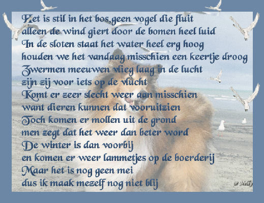 Meeuwen