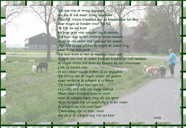 de zon vroeg op